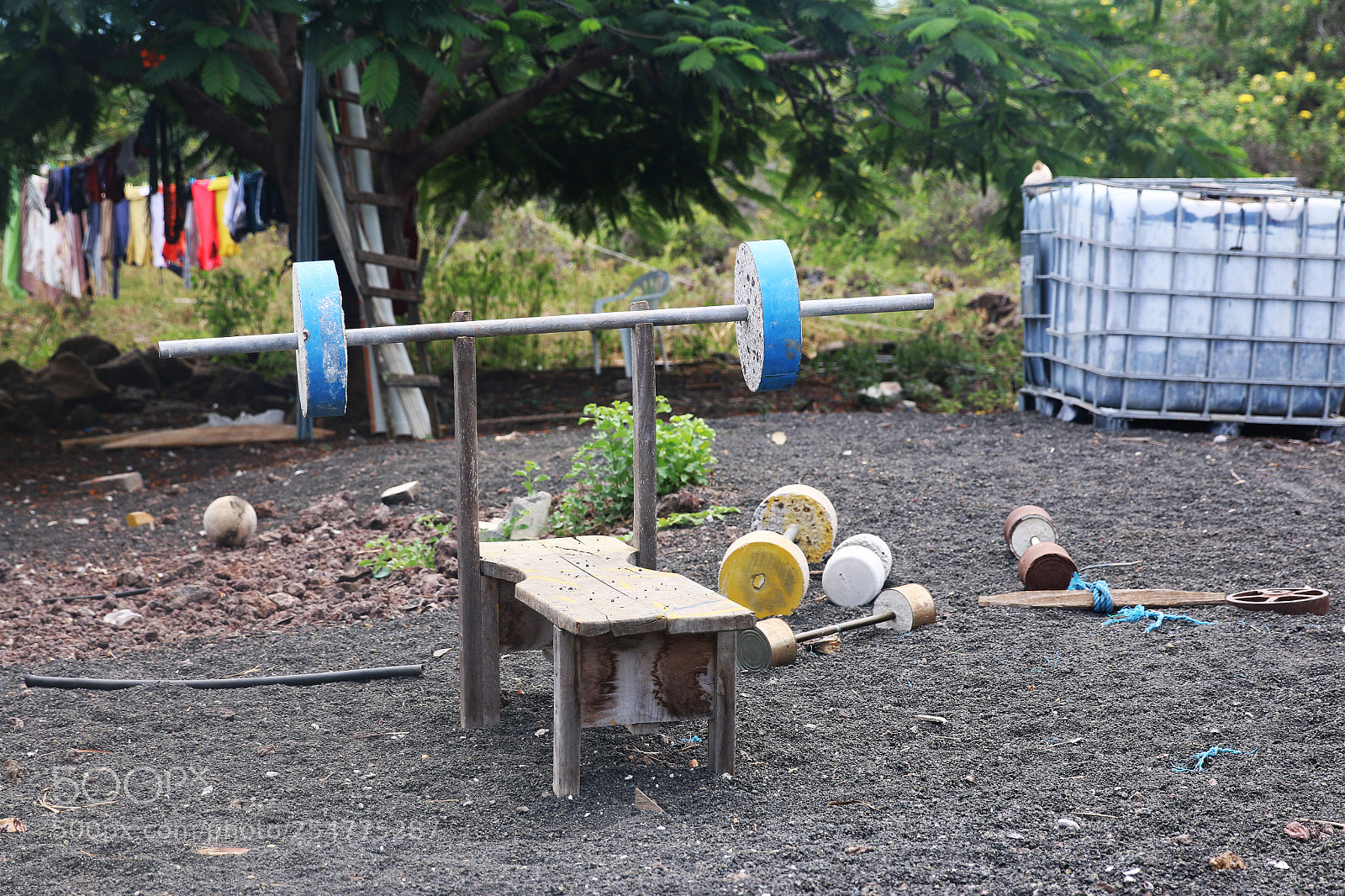 Canon EOS 70D sample photo. Img photography