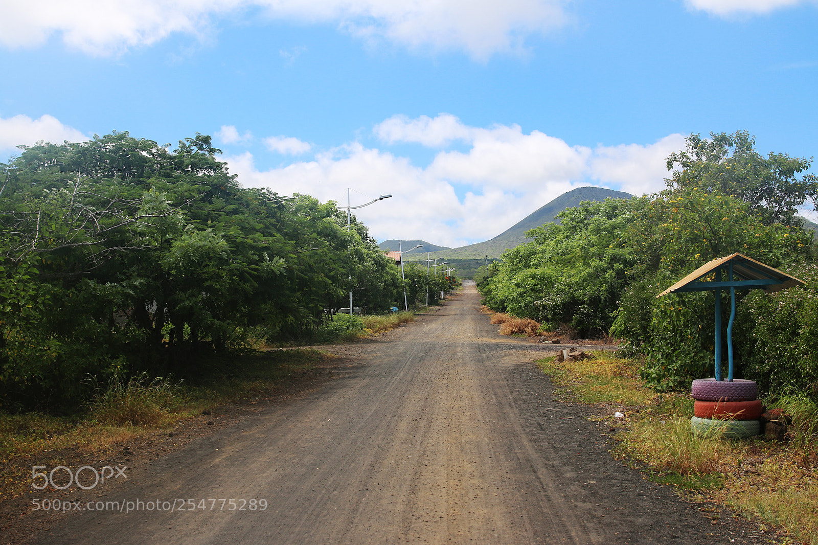 Canon EOS 70D sample photo. Img photography