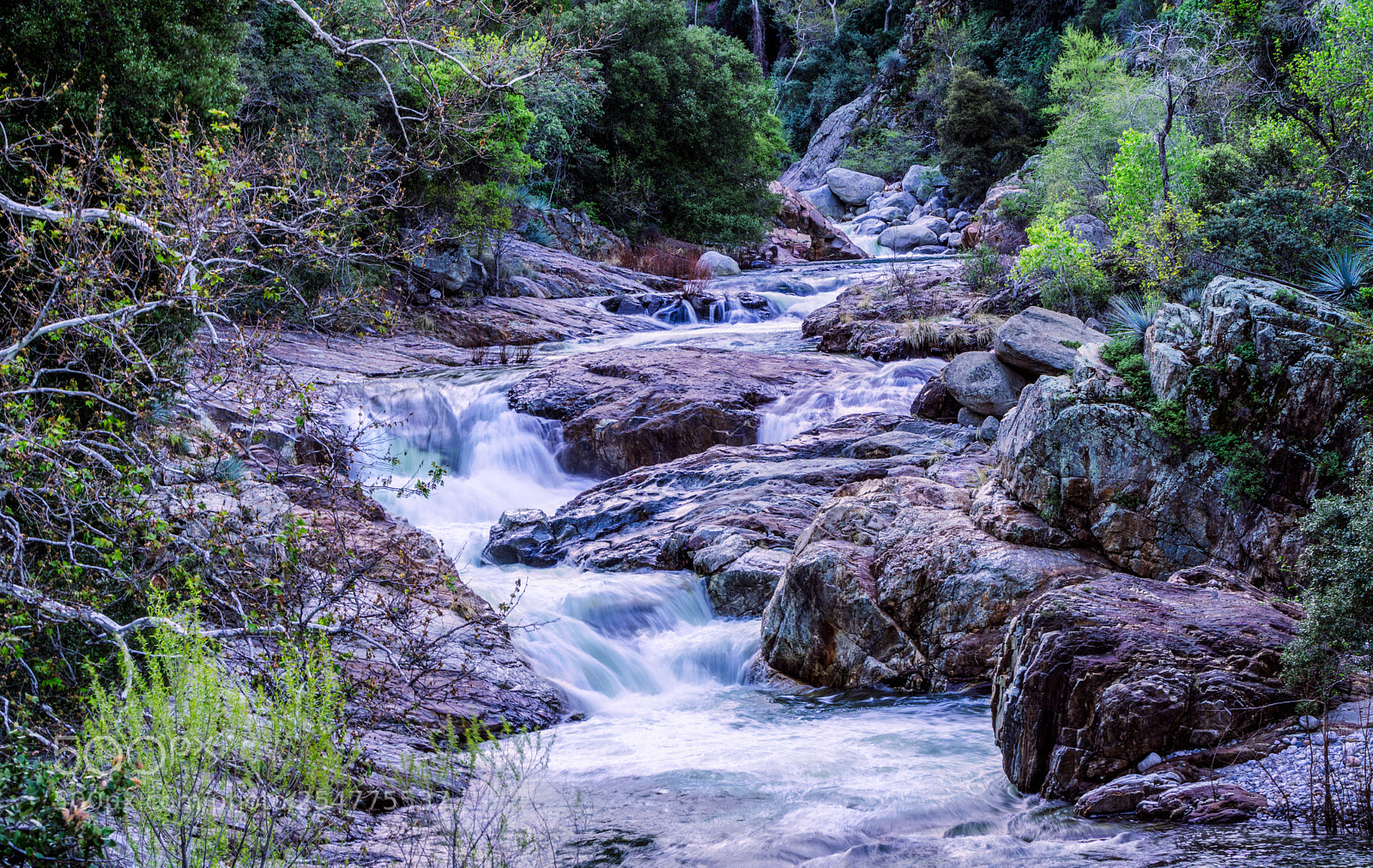 Sony a6000 sample photo. Sierra spring runoff photography
