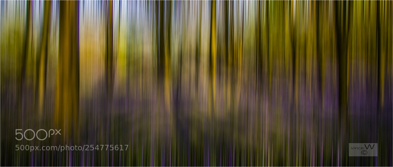 Canon EOS 7D sample photo. Bluebell art. photography