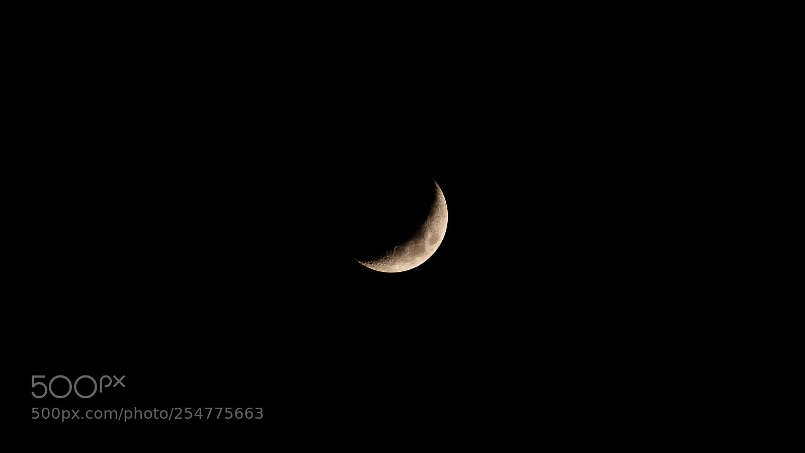 Nikon D610 sample photo. April moon photography