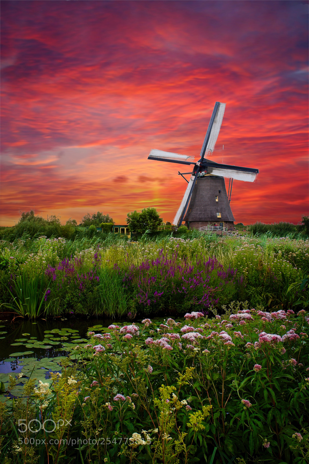 Sony Alpha NEX-7 sample photo. Kinderdijk on fire photography