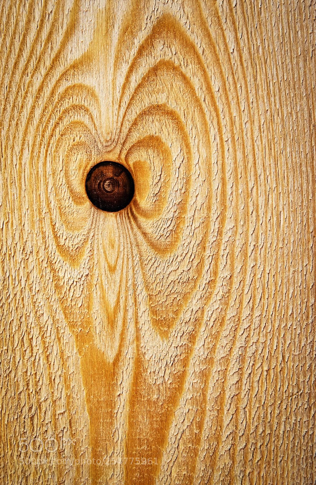 Nikon D5500 sample photo. Abstract shape of a photography