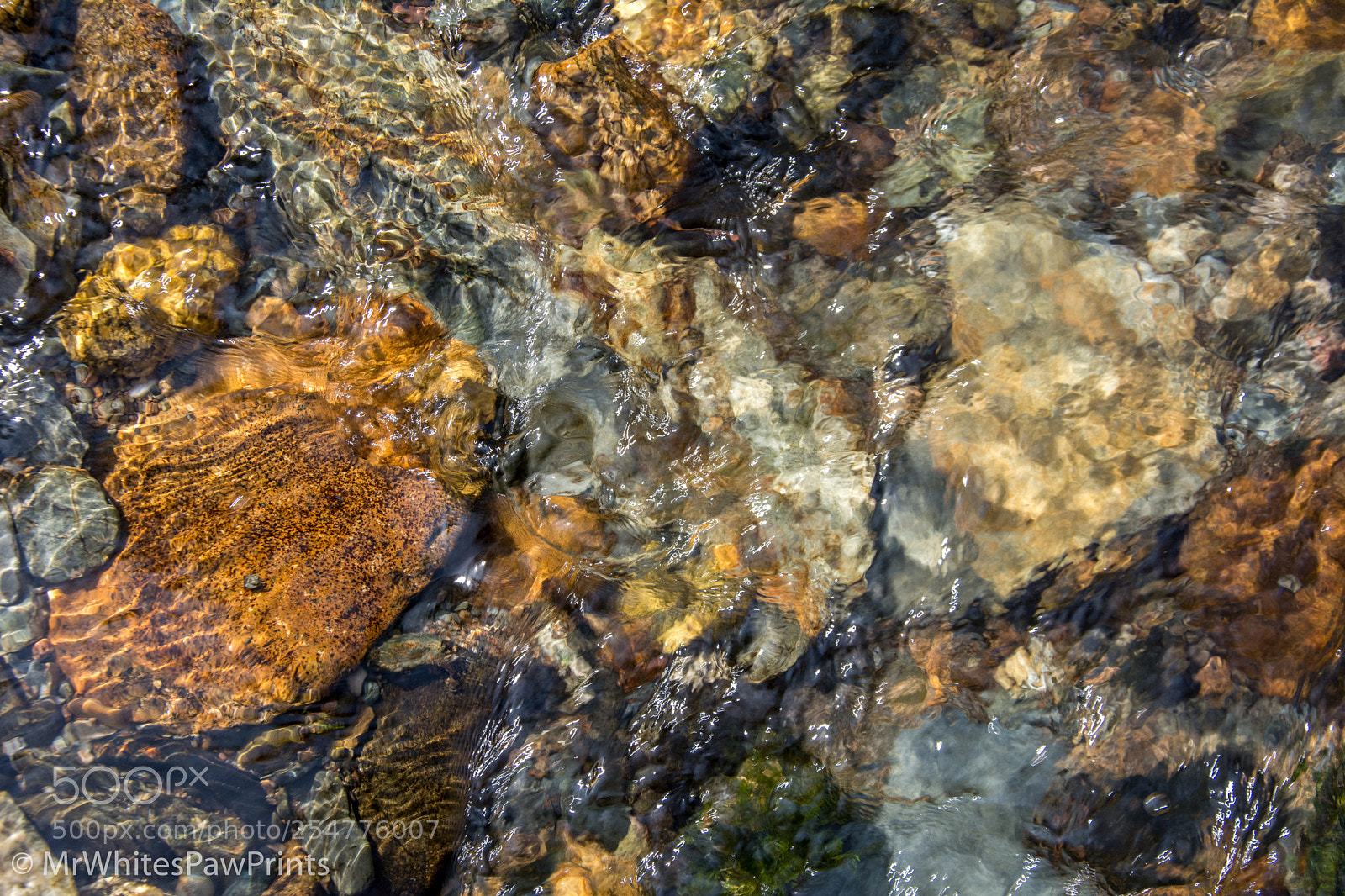 Nikon D7100 sample photo. River walkham photography
