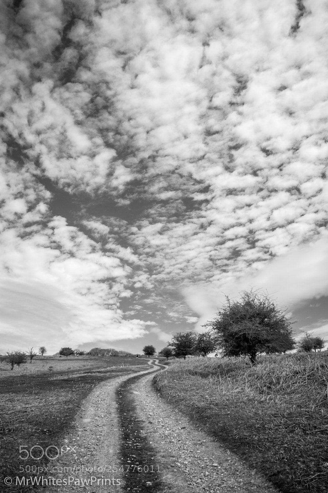 Nikon D7100 sample photo. West down, dartmoor photography