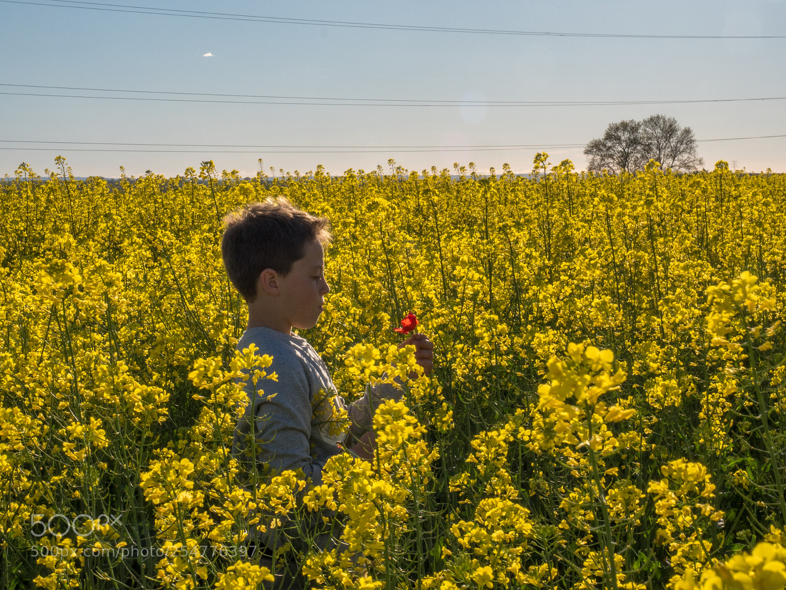 Olympus OM-D E-M5 II sample photo. Colours of spring, lleida photography