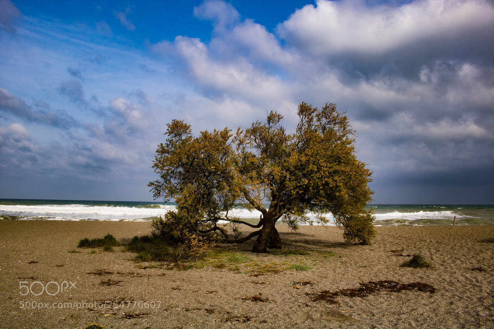 Canon EOS 750D (EOS Rebel T6i / EOS Kiss X8i) sample photo. Soledad photography