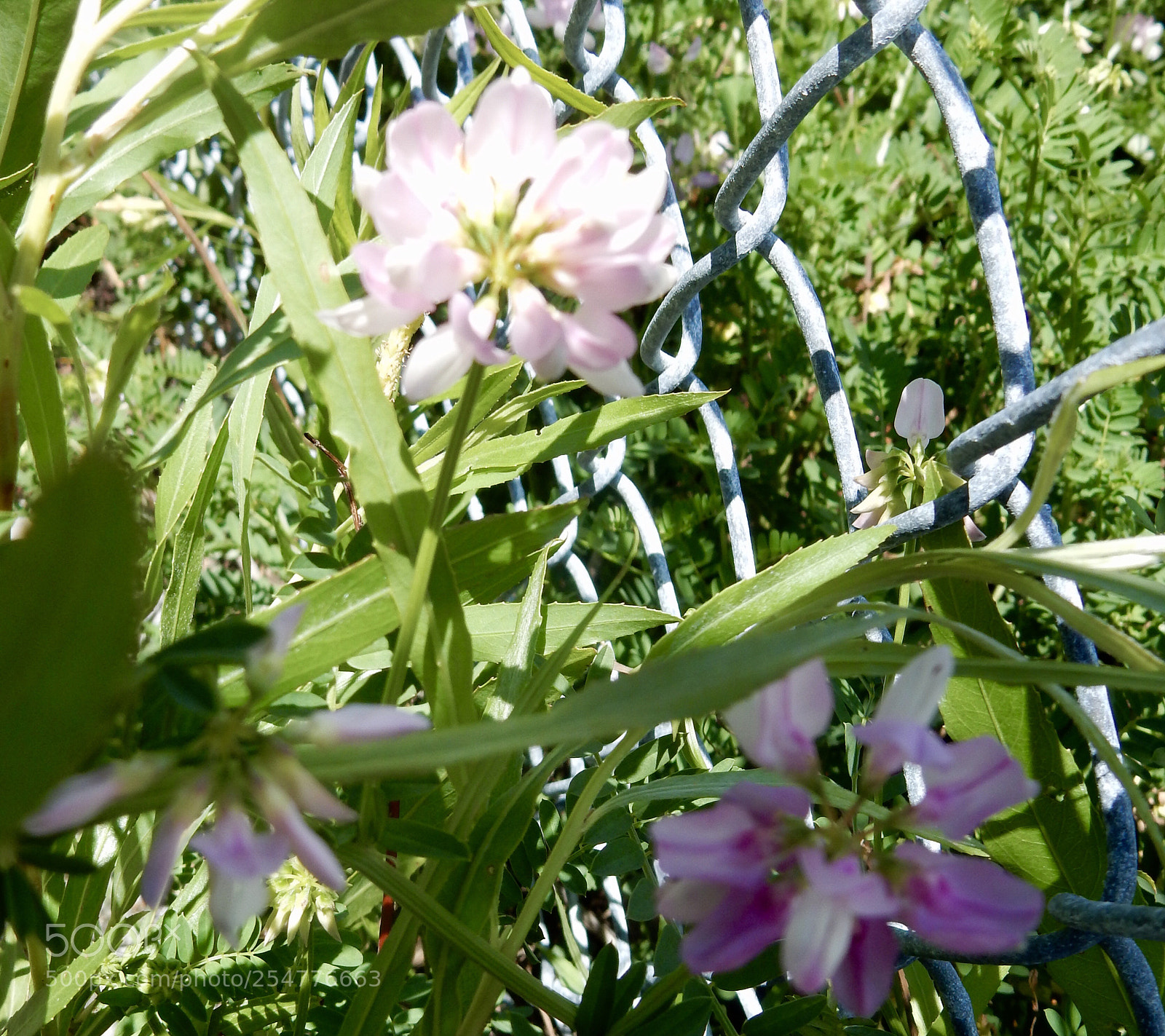Nikon Coolpix S9900 sample photo. Untitled photography