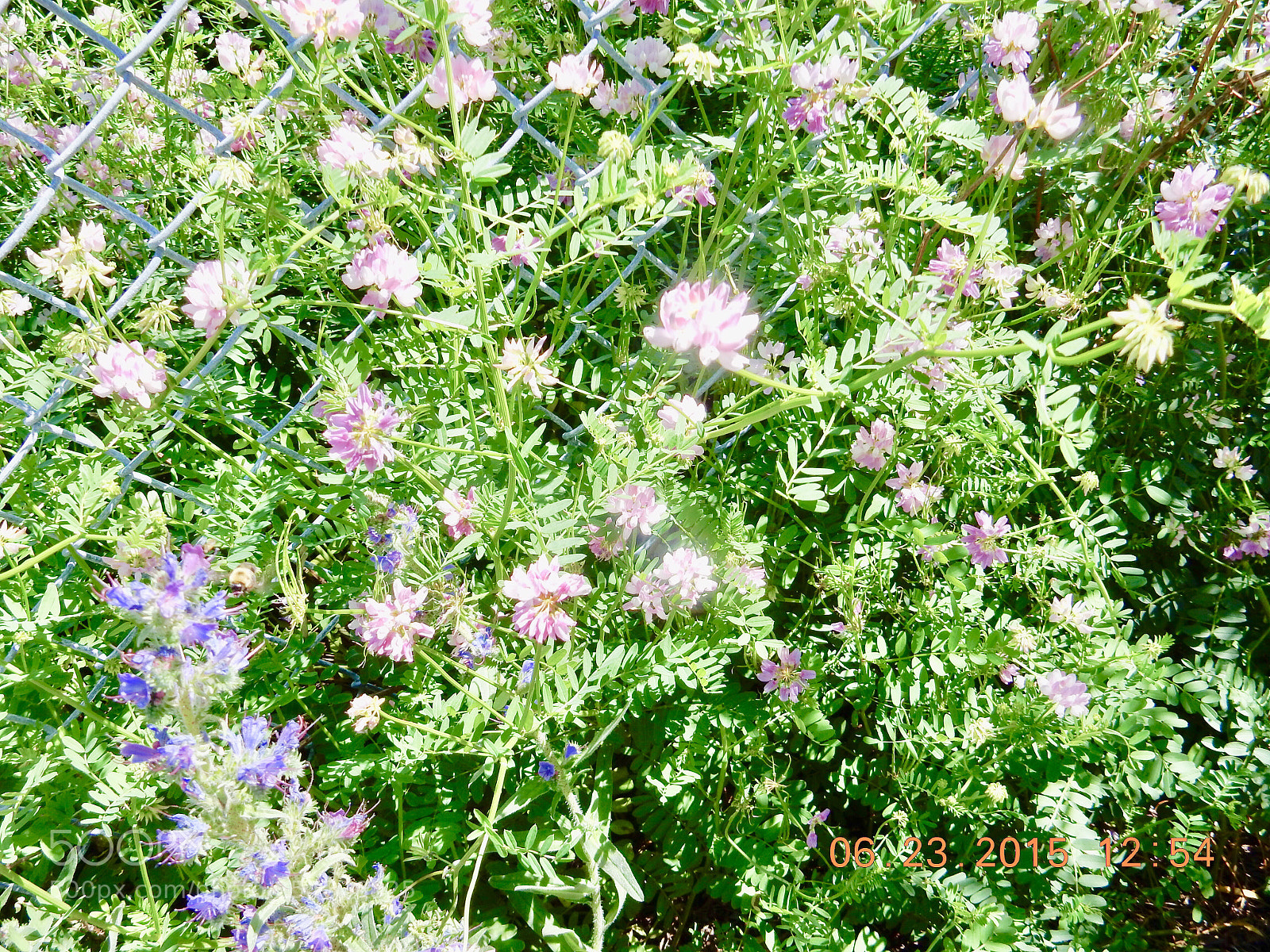 Nikon Coolpix S9900 sample photo. Untitled photography