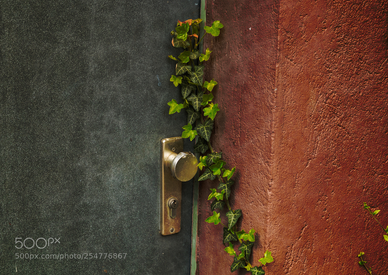 Canon EOS 70D sample photo. Locked by nature photography
