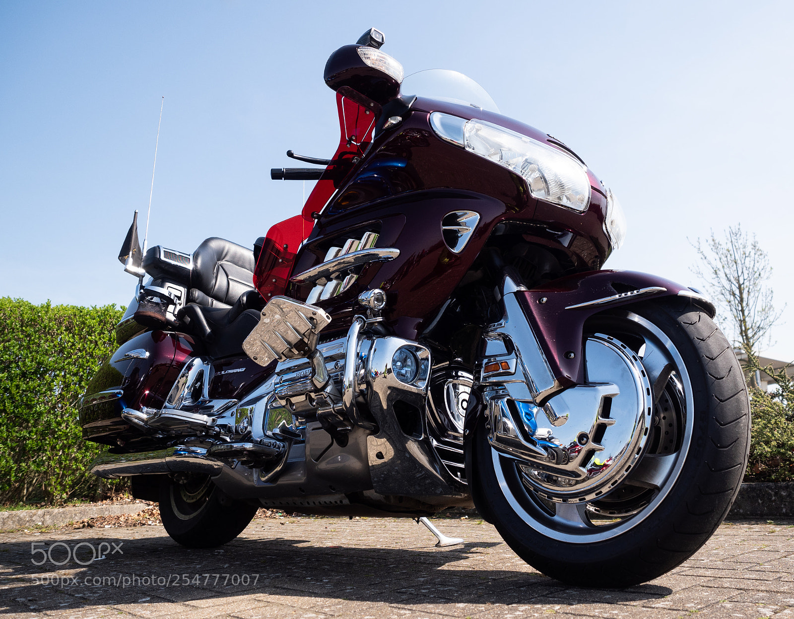 Olympus OM-D E-M5 II sample photo. The beast photography