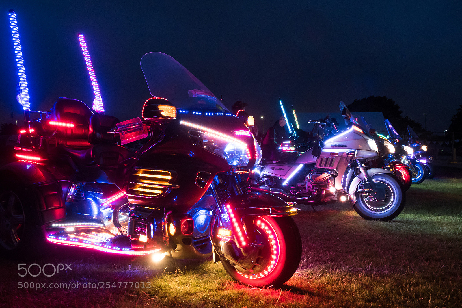 Olympus OM-D E-M5 II sample photo. Neon photography