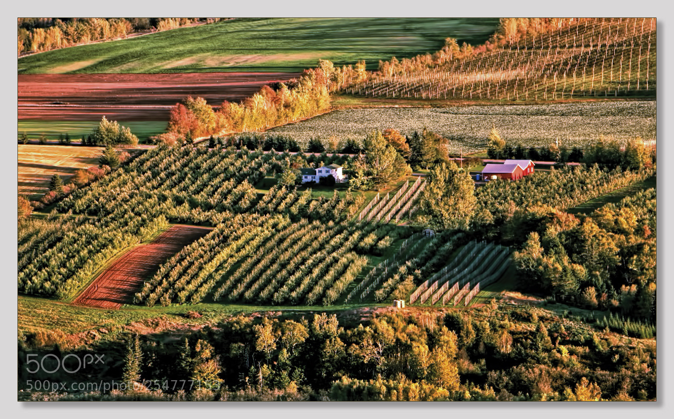 Canon EOS 600D (Rebel EOS T3i / EOS Kiss X5) sample photo. The fields of blomidon photography