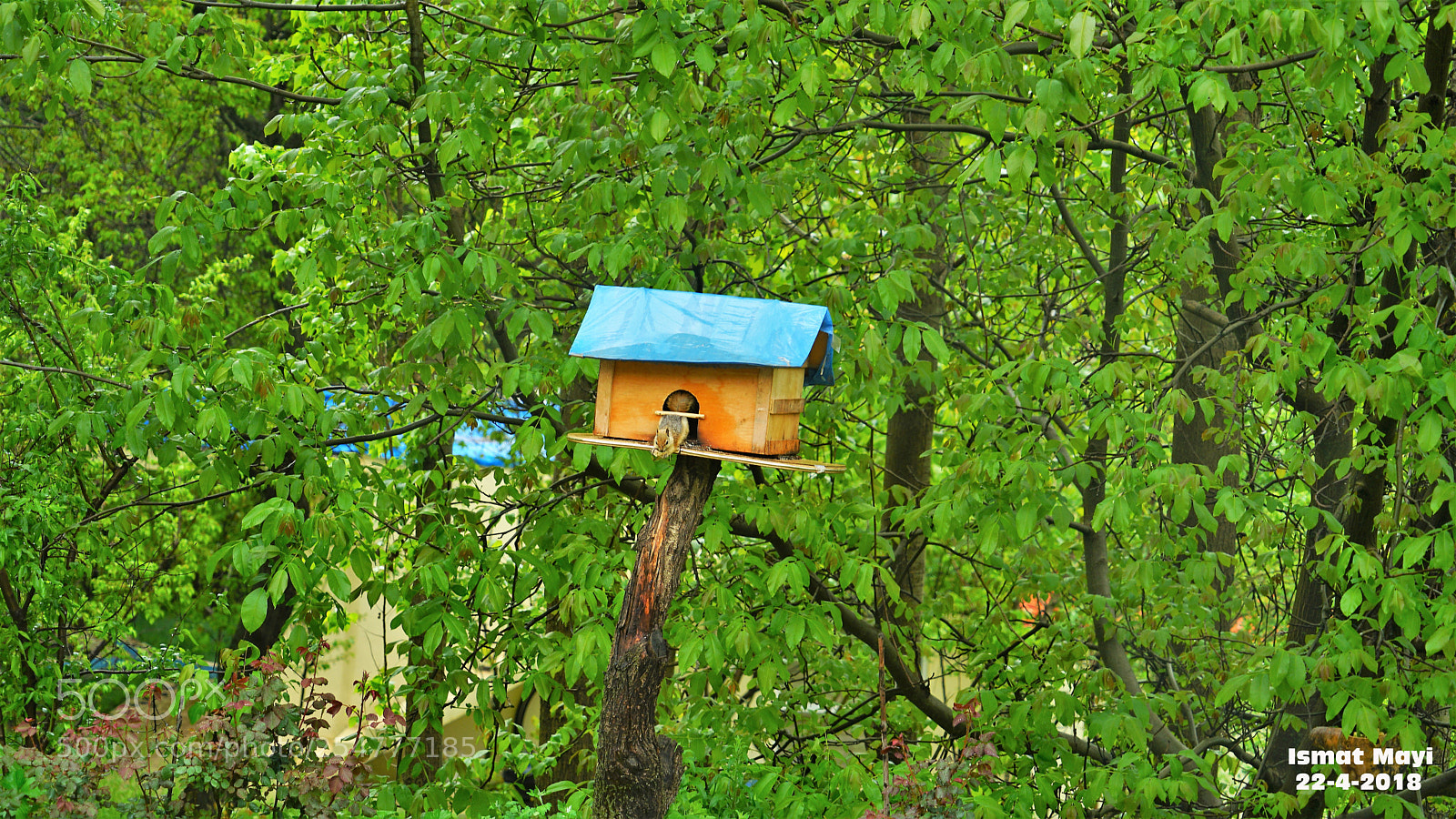 Sony a7 II sample photo. 3.jpg photography