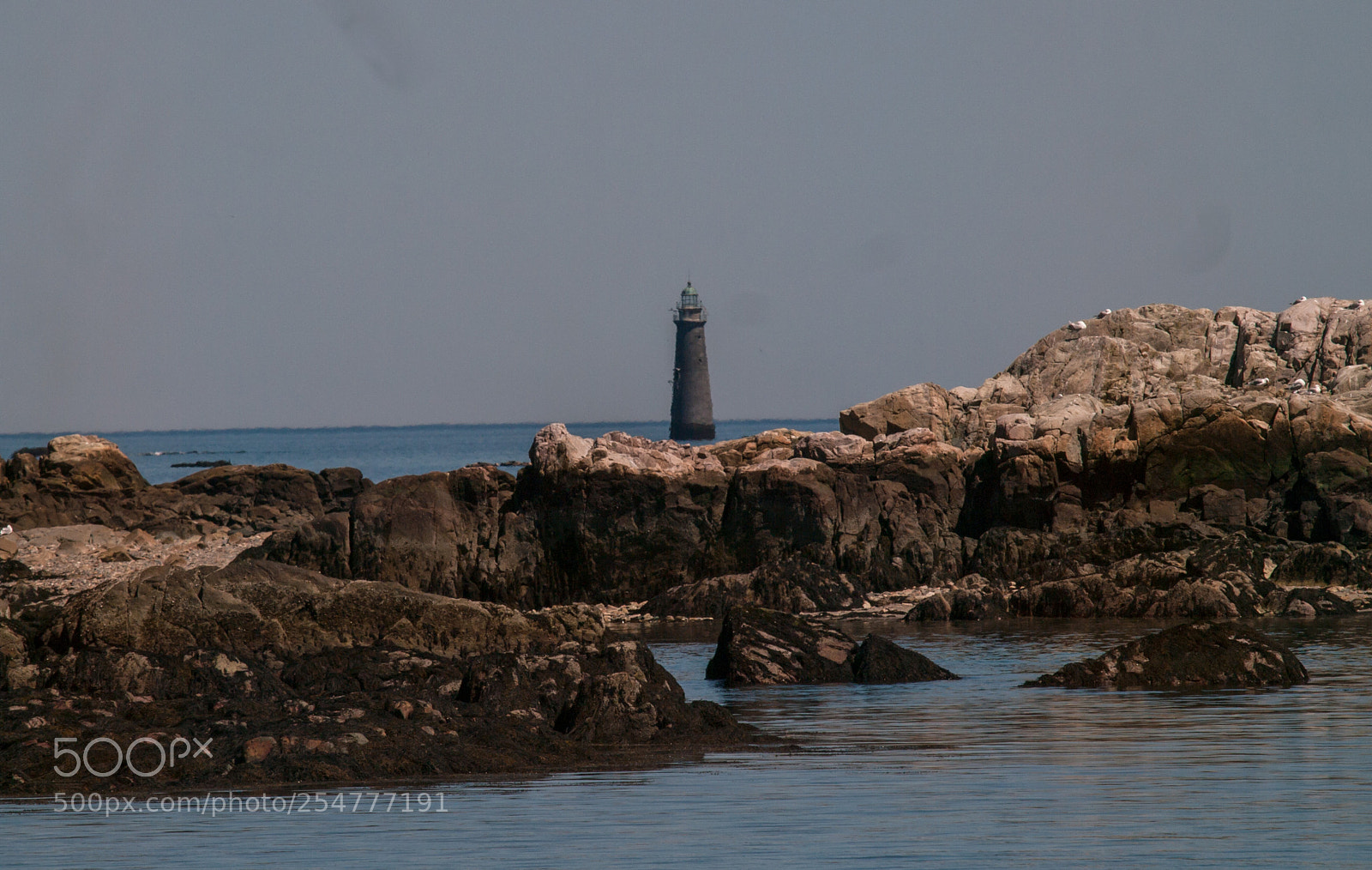 Olympus E-3 sample photo. Nantasket lighthouse photography