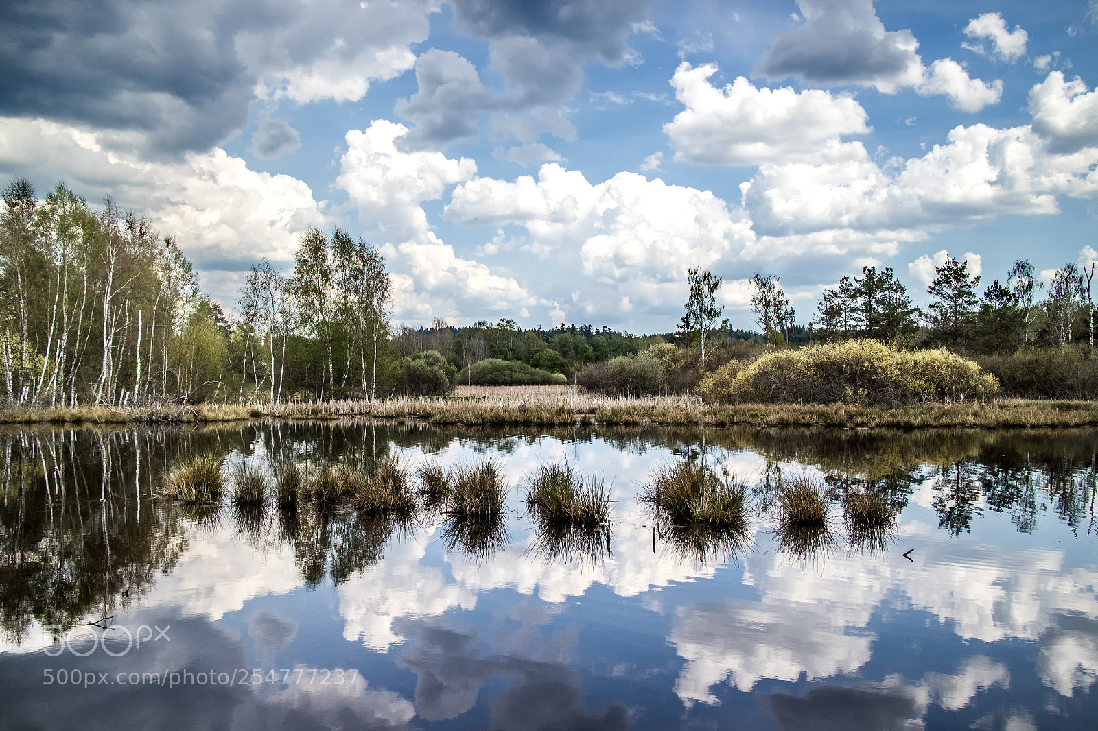 Canon EOS M10 sample photo. Schwenninger moos photography