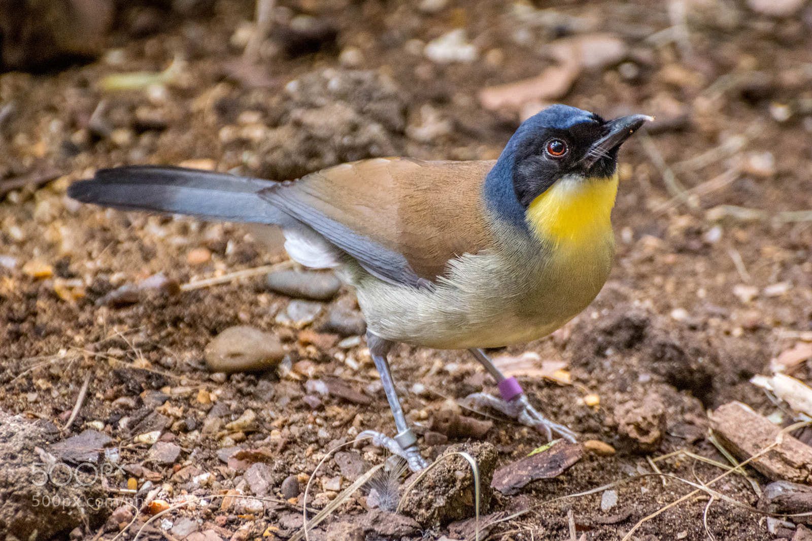 Nikon D3300 sample photo. Needs an id photography