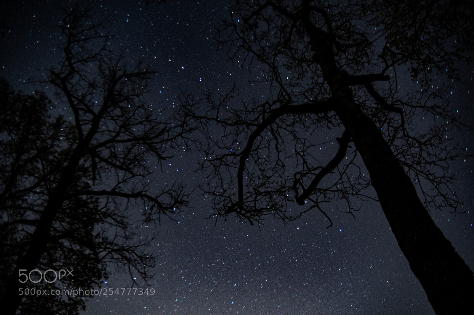 Nikon D7200 sample photo. A sky full of photography