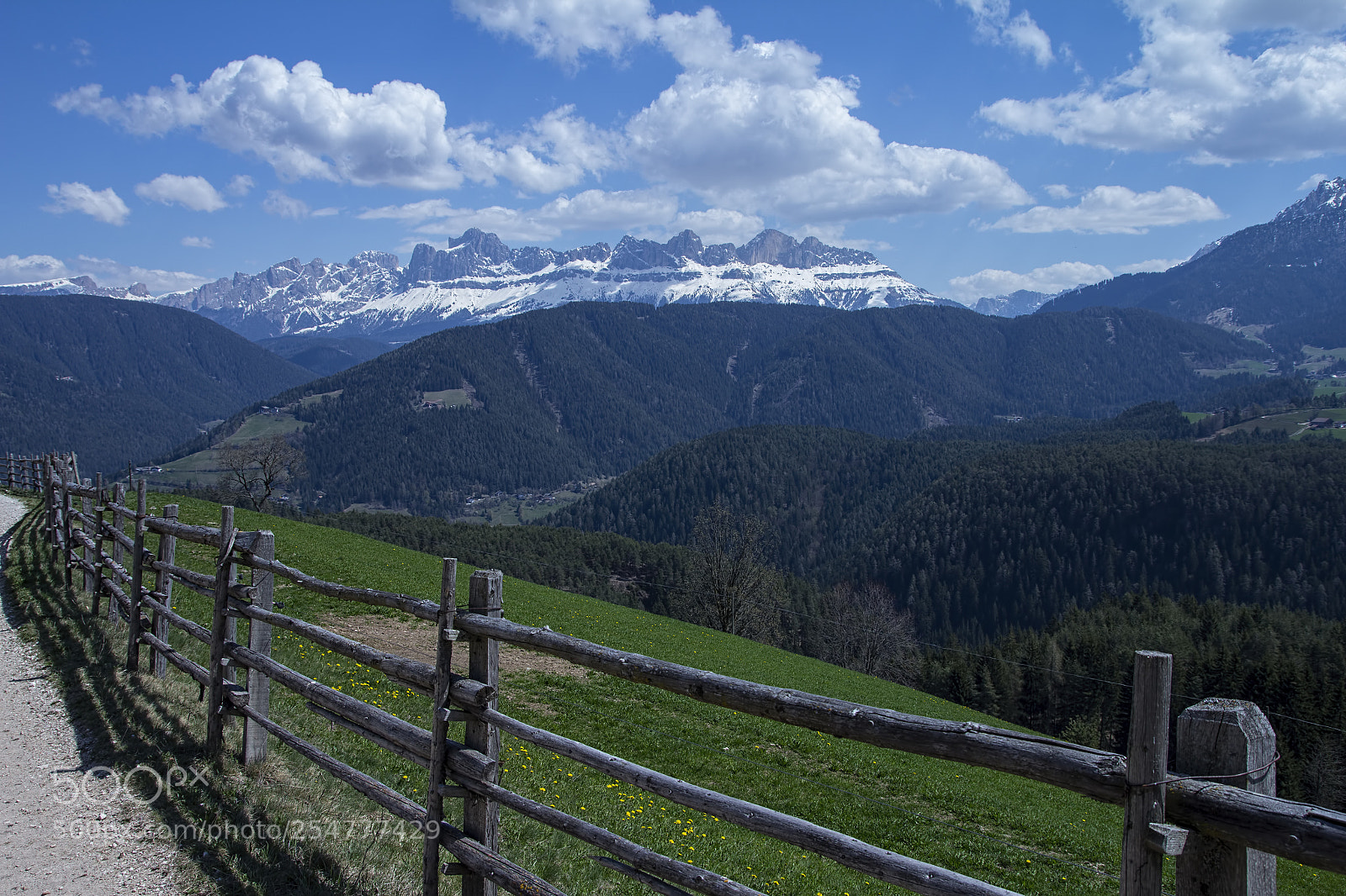 Canon EOS 60D sample photo. Welcome back spring ! photography
