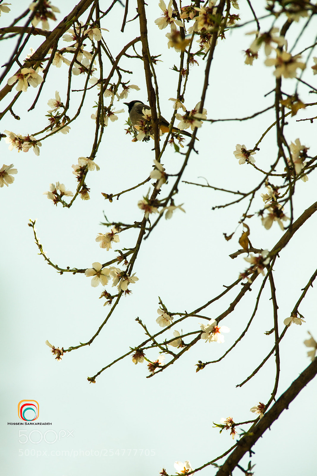 Canon EOS 7D sample photo. Spring photography
