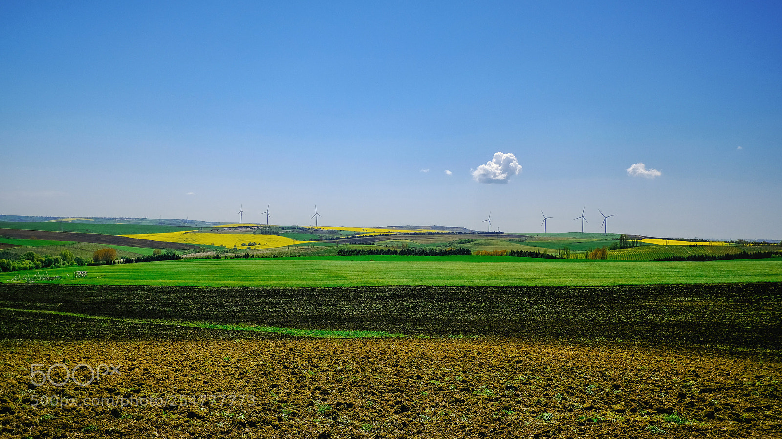 Fujifilm X-Pro2 sample photo. Fields of the spring photography