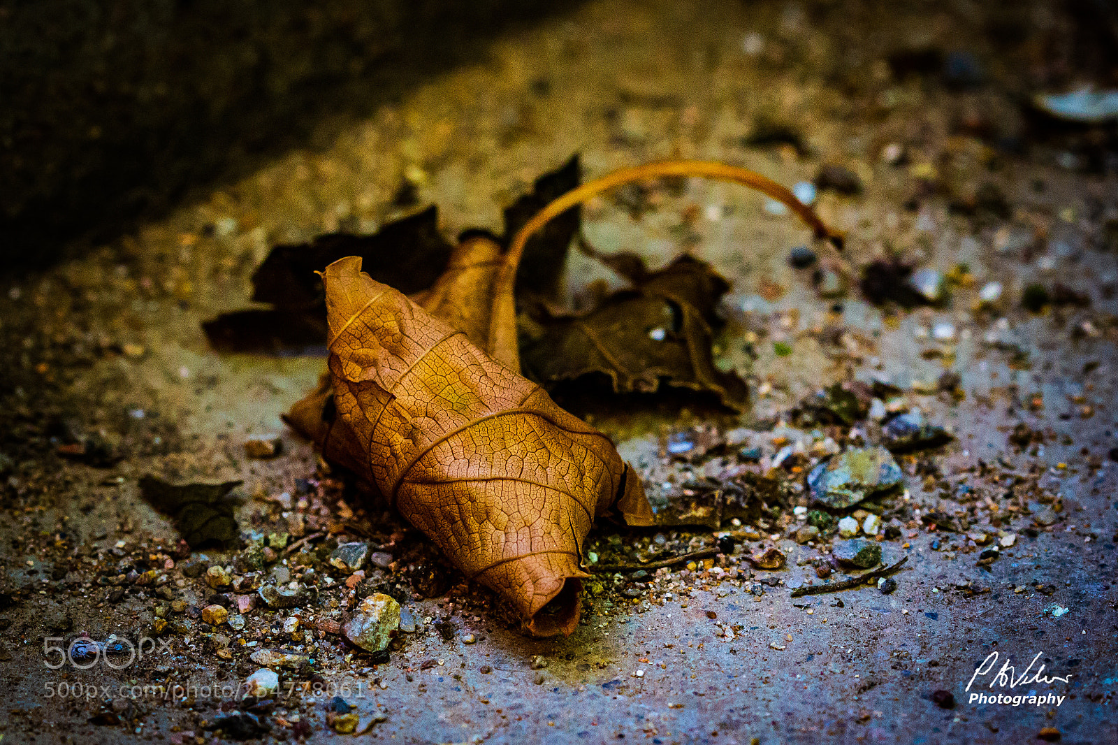 Canon EOS 7D sample photo. Alone photography