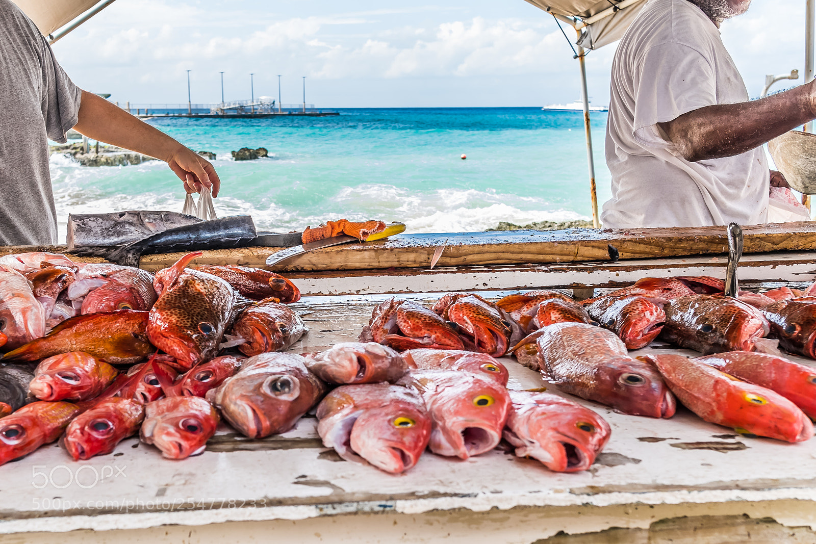 Fujifilm X-T20 sample photo. Cayman's fish market photography