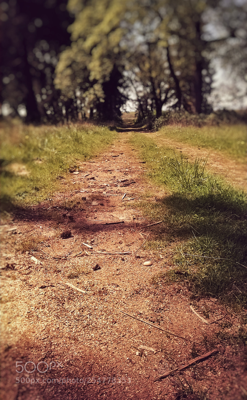 Motorola XT1080 sample photo. Scappoose. photography