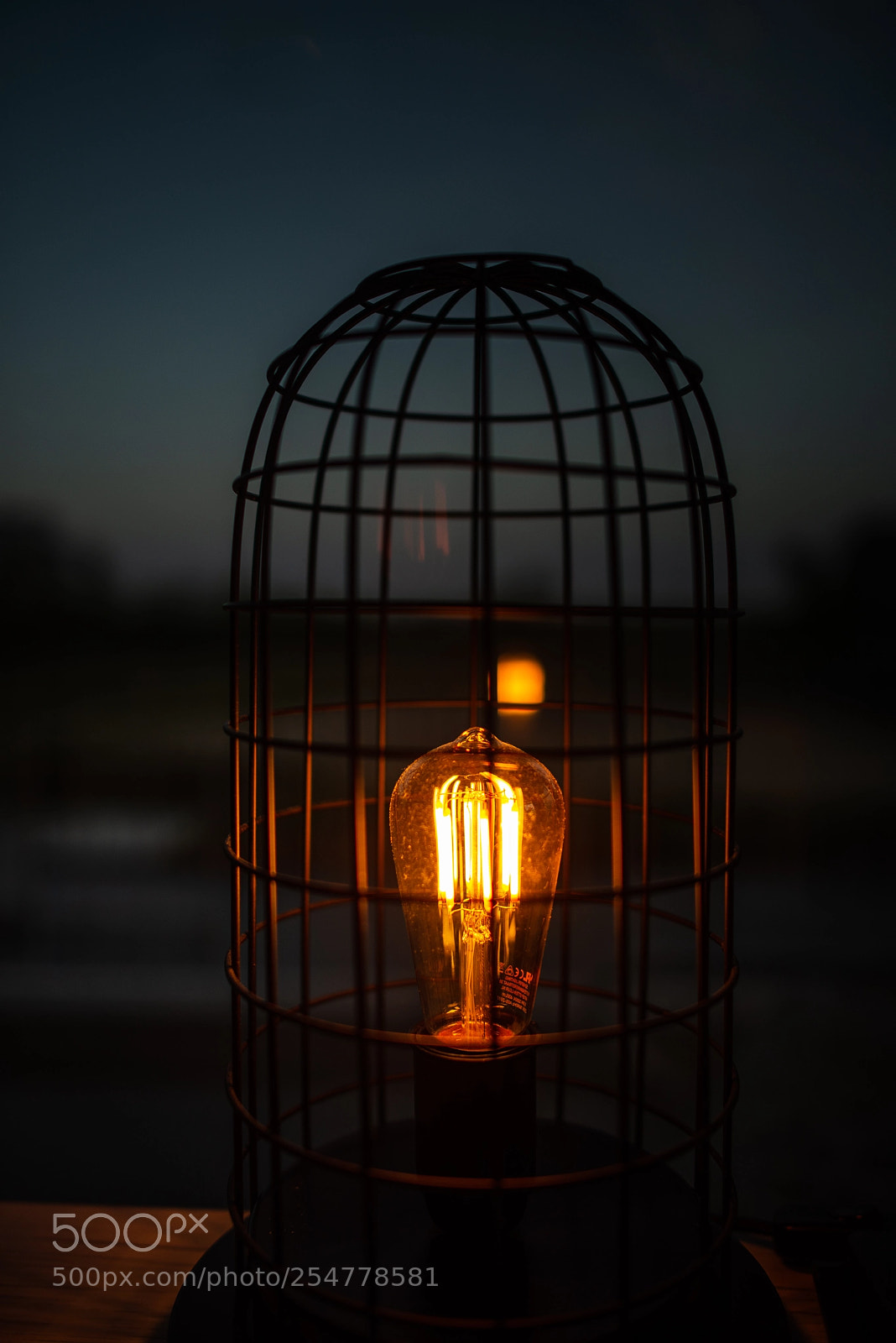 Nikon D810 sample photo. Light : dusk photography