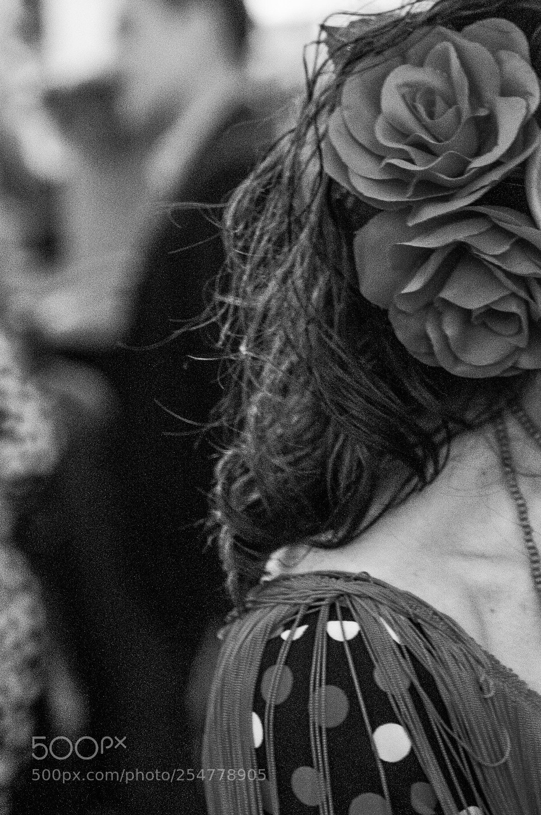 Nikon D300S sample photo. Flamenca photography
