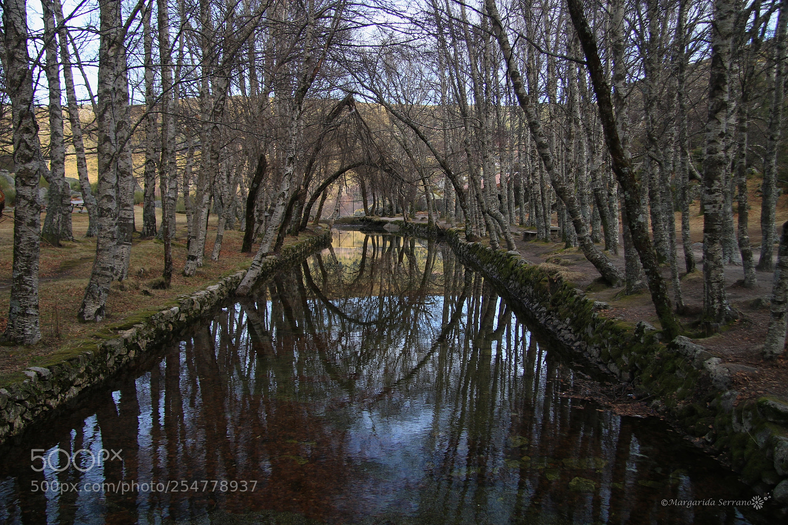 Canon EOS 70D sample photo. Mirror of nature... photography