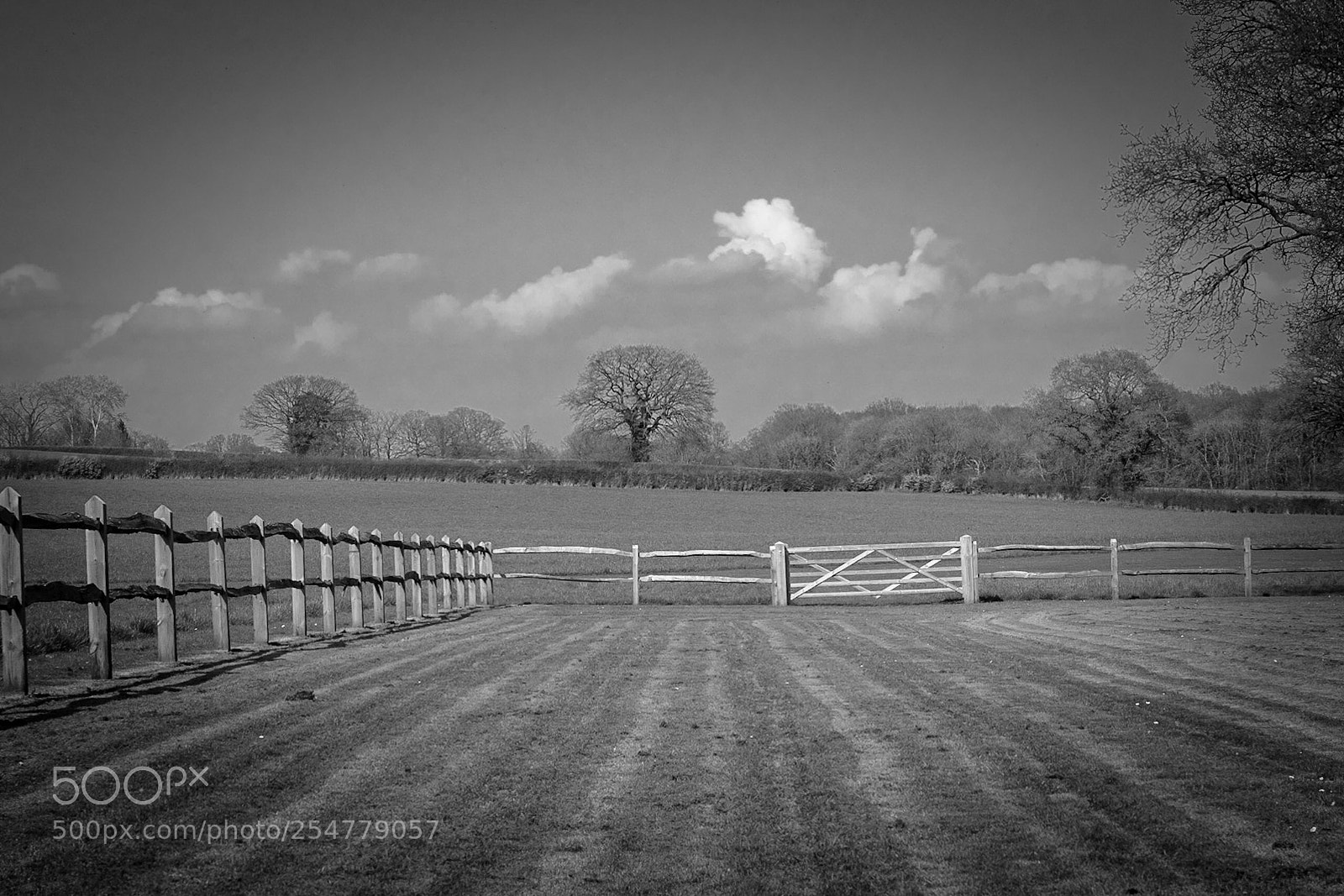 Sony a7R sample photo. English countryside  photography