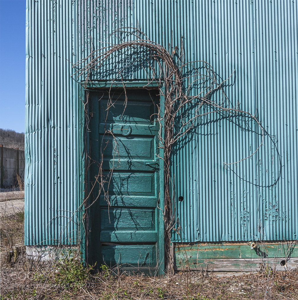 Fujifilm GFX 50S sample photo. Lucky door photography