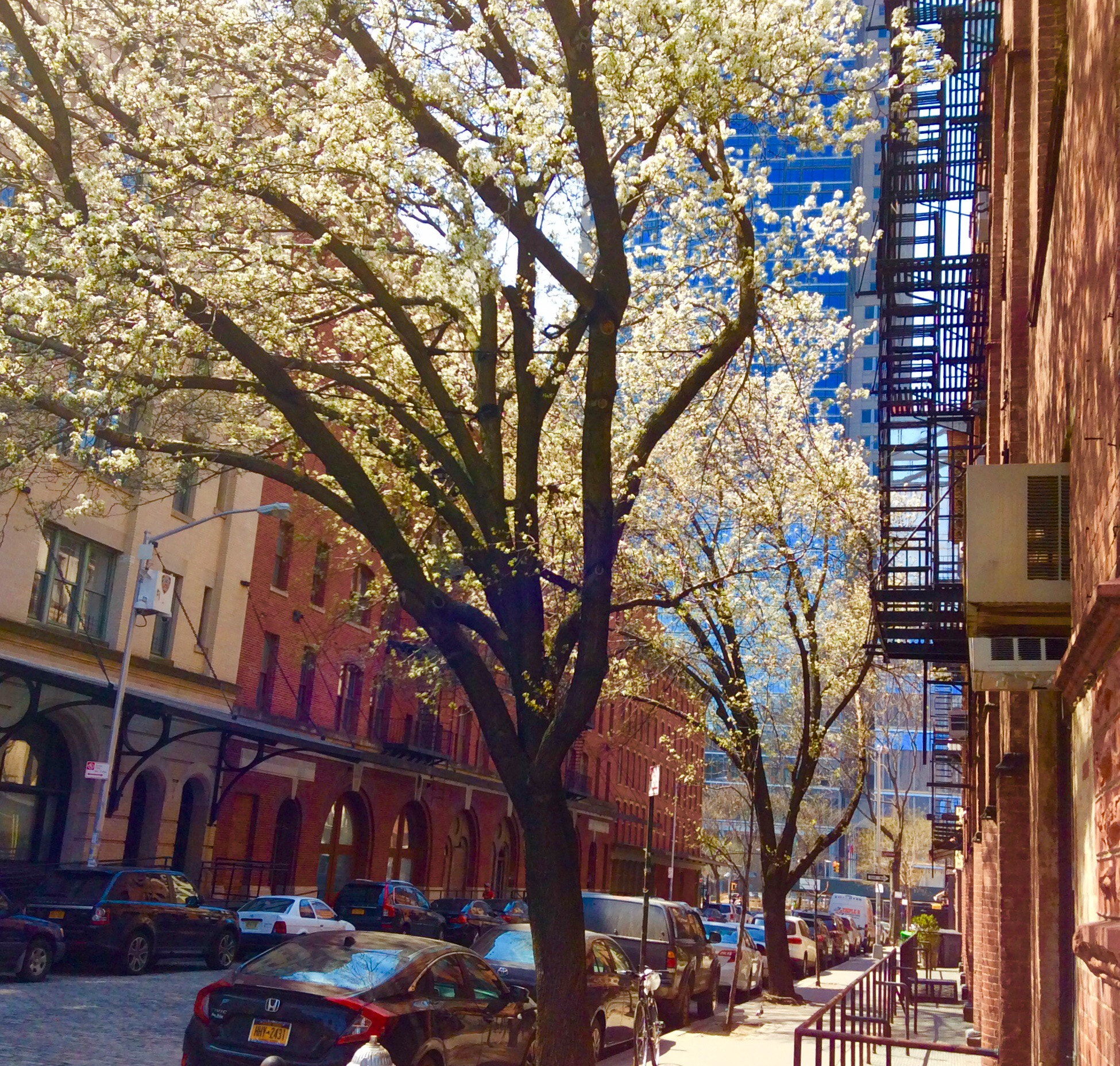 Apple iPad mini 2 sample photo. Spring in the big city! photography