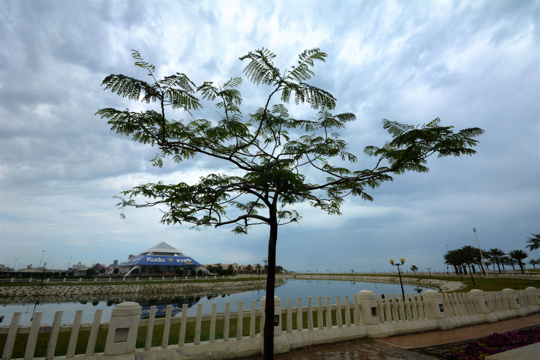 Sigma 10-20mm F4-5.6 EX DC HSM sample photo. Dsc photography