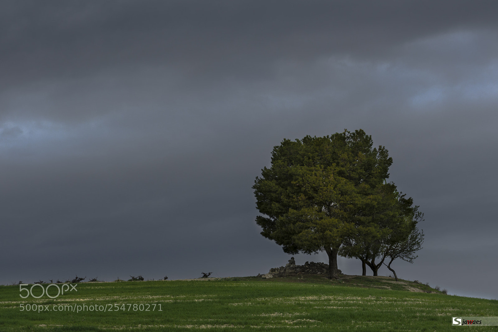 Nikon D7200 sample photo. Empezando la tormenta photography