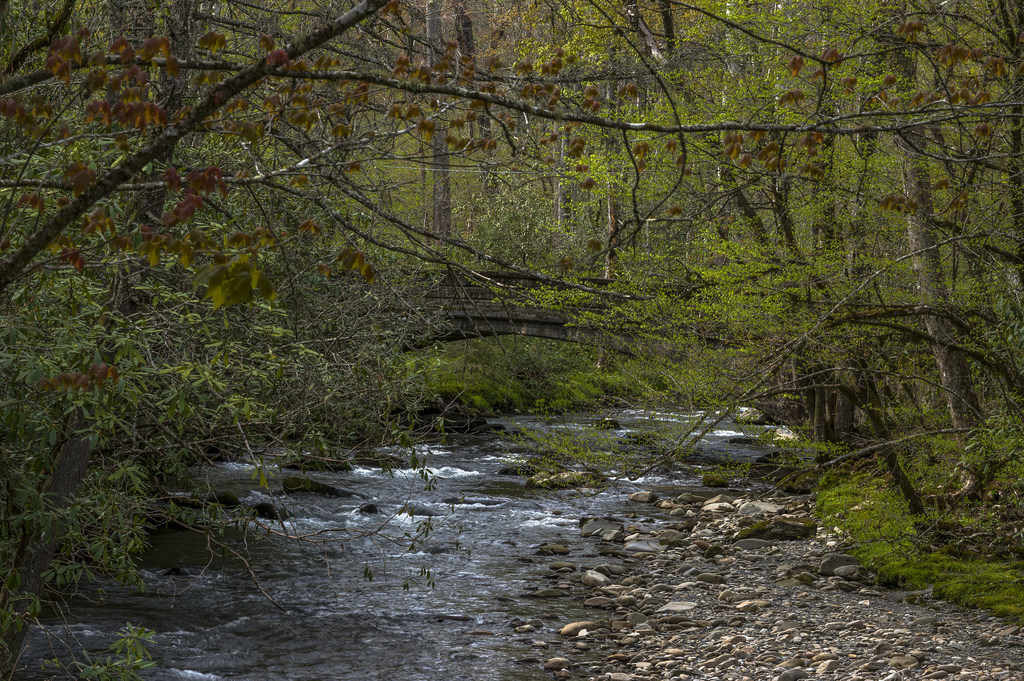 Sony Alpha NEX-5T sample photo. Dsc photography