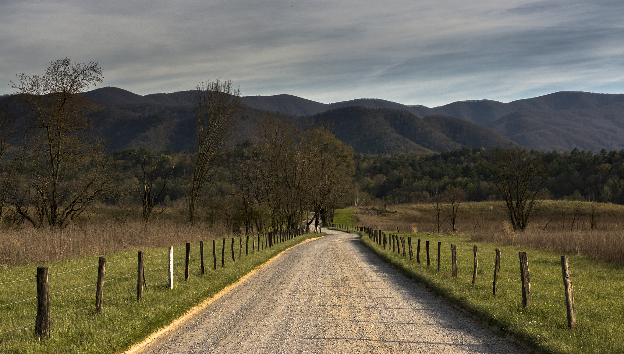 Sony Alpha NEX-5T sample photo. Dsc photography