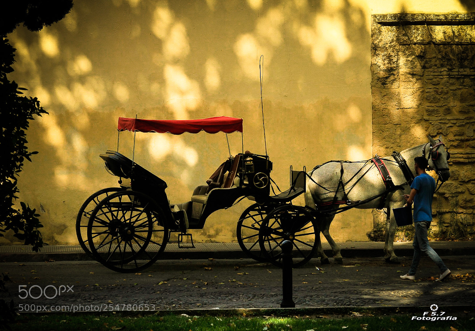 Canon EOS 7D sample photo. Carruaje - c rdoba photography