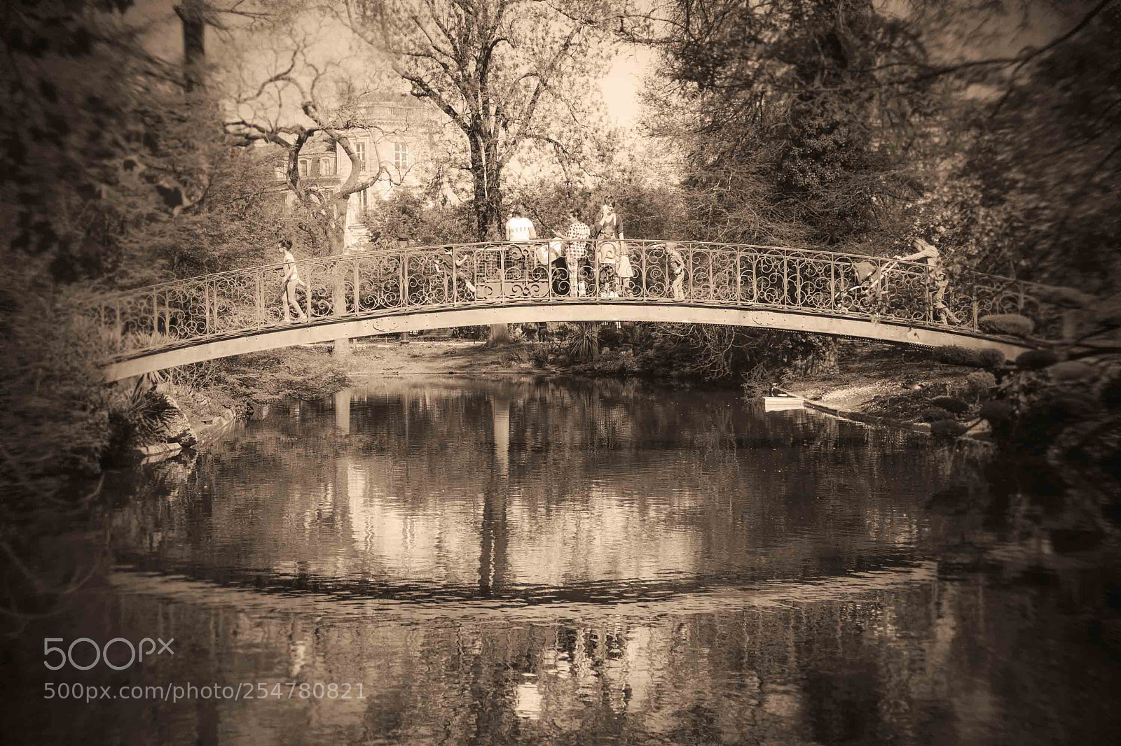 Nikon D610 sample photo. Spring dream photography