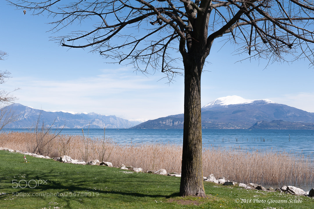 Nikon D700 sample photo. Quiete photography