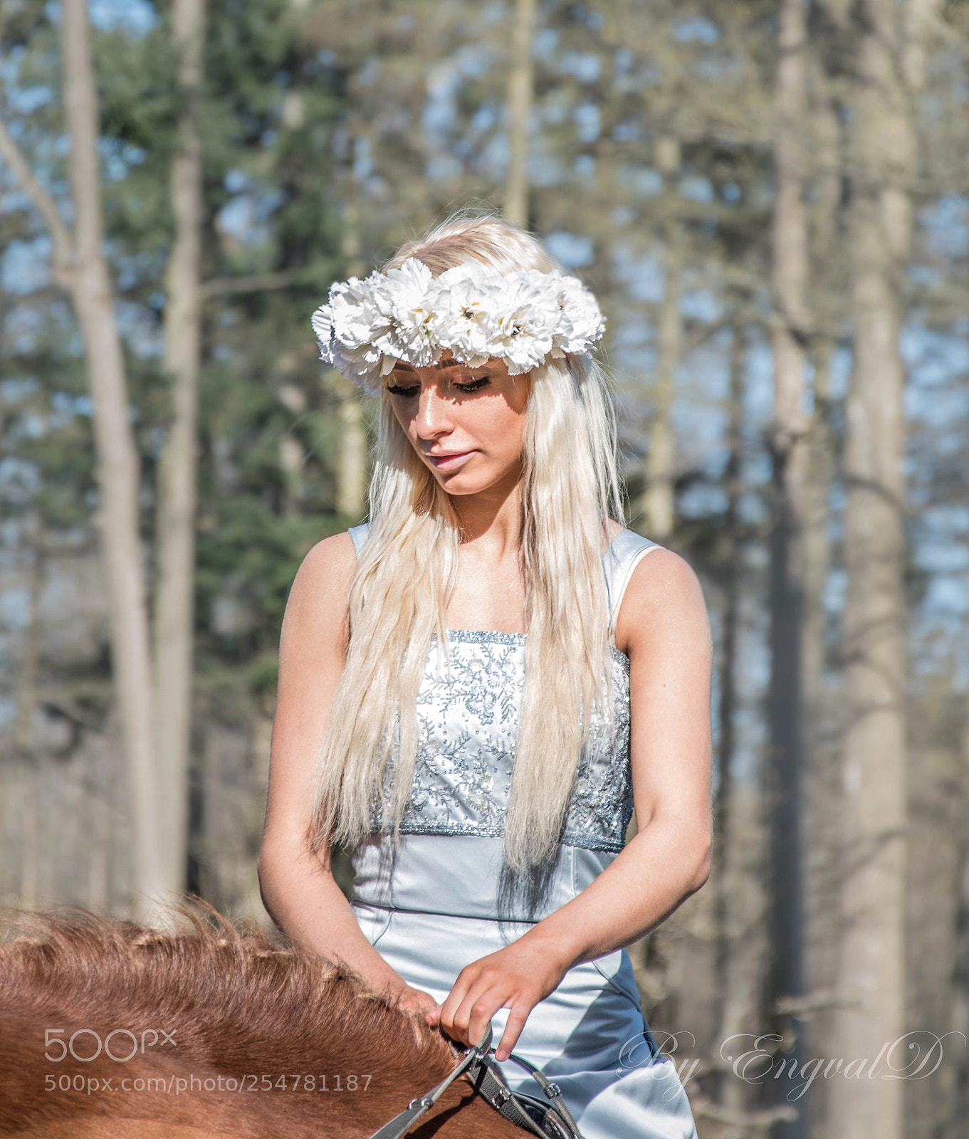 Nikon D5500 sample photo. Beauty in nature photography