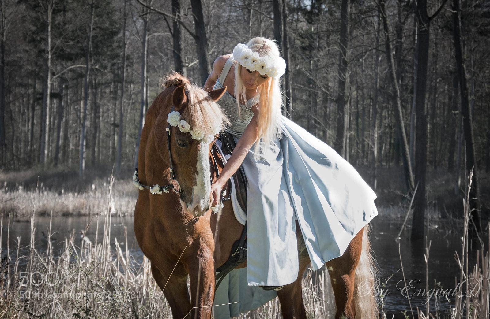 Nikon D5500 sample photo. A love song photography