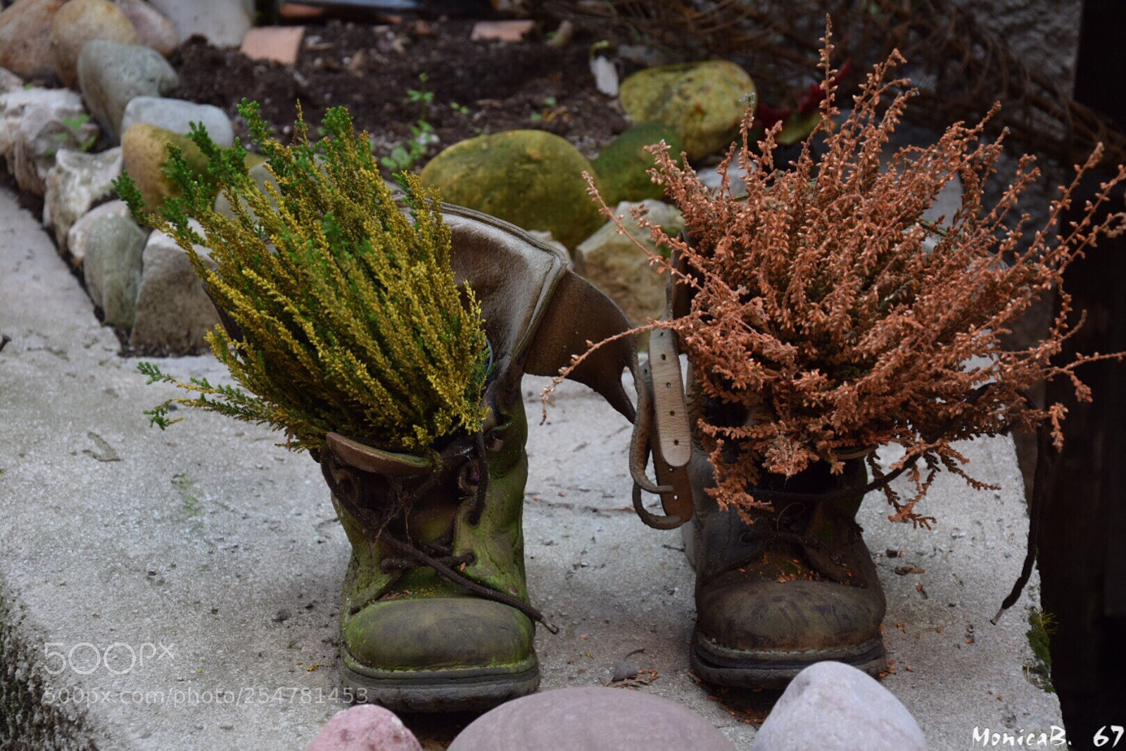 Nikon D5300 sample photo. Vecchio scarpone photography