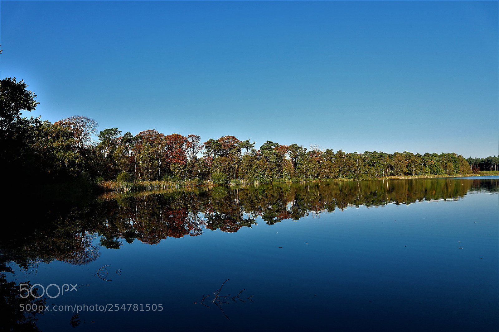 Canon EOS M10 sample photo. Tree reflections photography