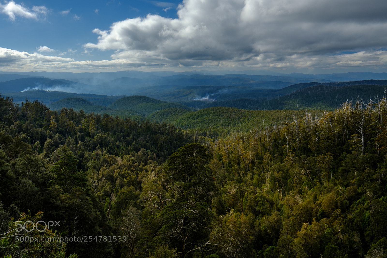 Fujifilm X-T2 sample photo. Hartz mountain photography