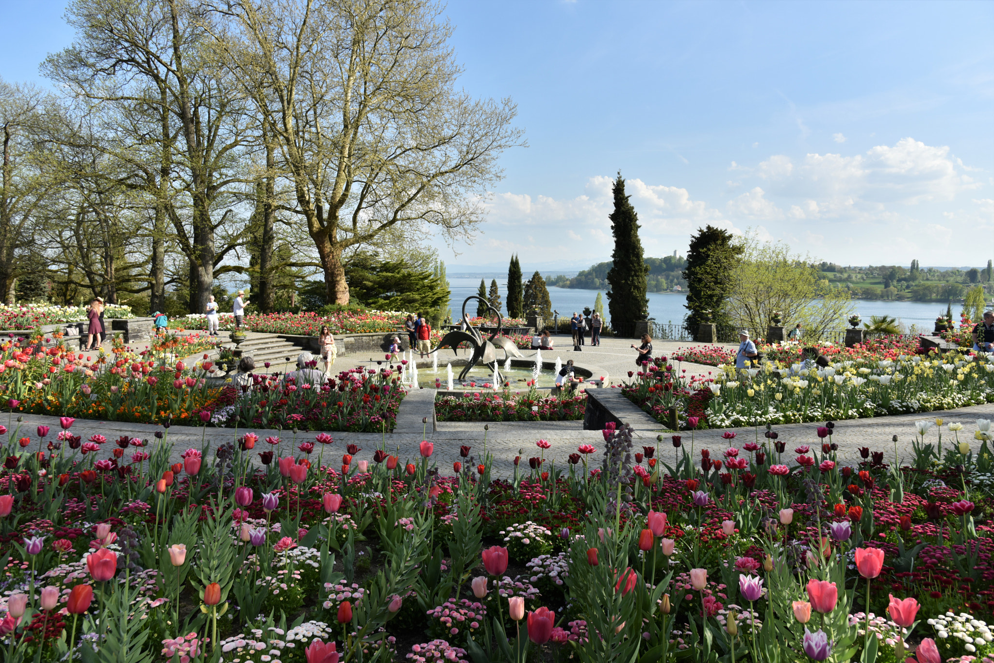 Nikon AF-S Nikkor 24-120mm F4G ED VR sample photo. Spring flower frolic ... photography