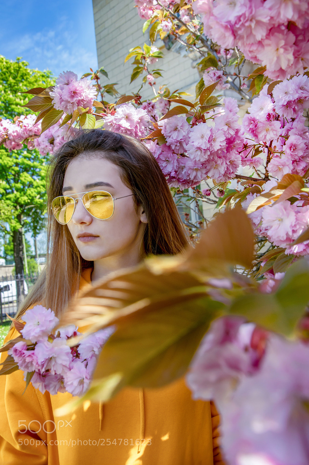 Nikon D5300 sample photo. Untitled photography