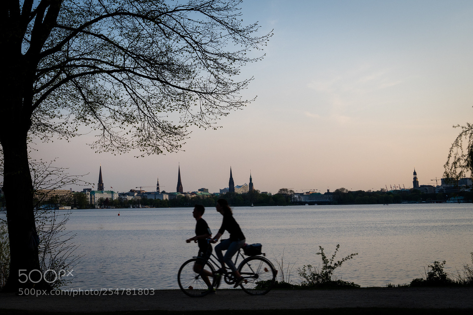 Olympus OM-D E-M5 II sample photo. Alster silhouettes photography