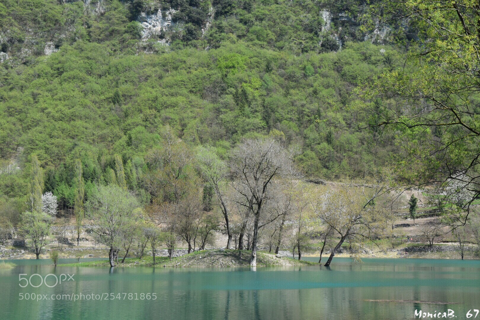 Nikon D5300 sample photo. Lago di tenno photography